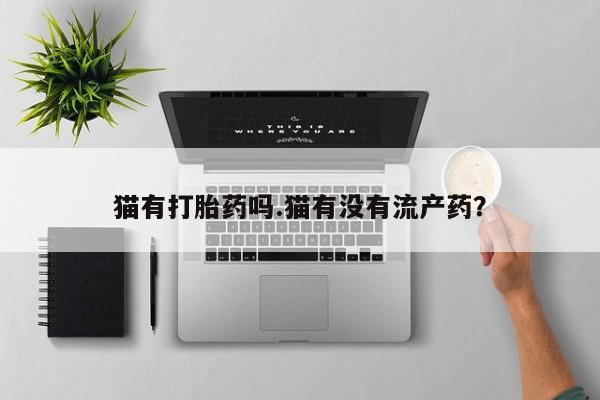 米非米索联系方式猫有打胎药吗.猫有没有流产药？
