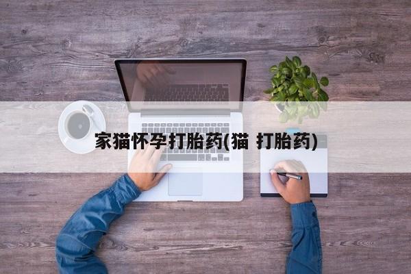 米非米索联系方式家猫怀孕打胎药(猫 打胎药)